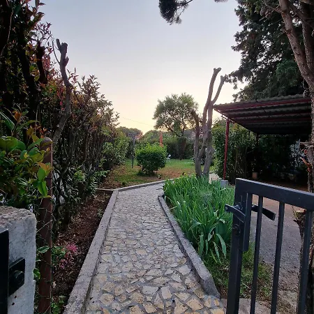 Apartman Sara